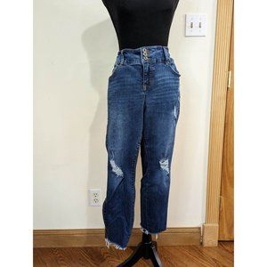 Torrid Premium Ankle Zip Skinny Jeans - Size 16R